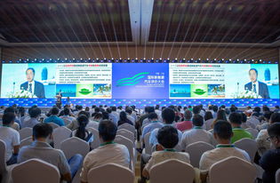 2019国际新能源汽车评价大会在三亚举行，引领行业创新与可持续发展